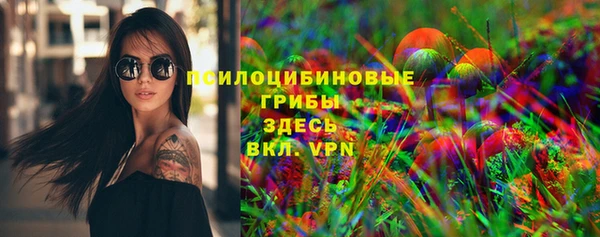 мдпв Балахна