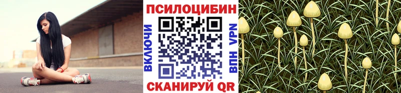 Галлюциногенные грибы ЛСД Лабинск